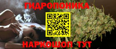 мяу мяу мука Гатчина