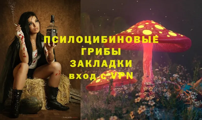 Псилоцибиновые грибы Magic Shrooms Кушва