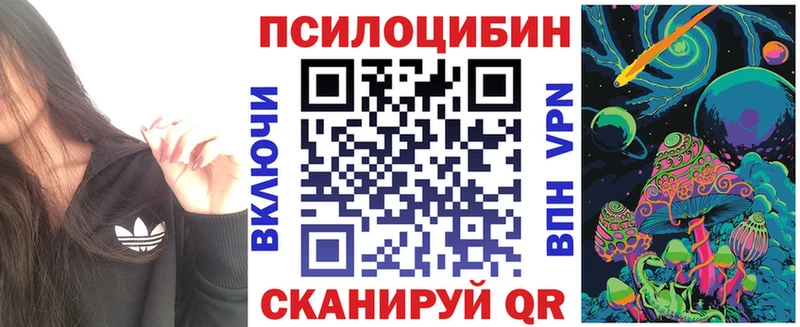 KRAKEN ССЫЛКА Кушва Галлюциногенные грибы Magic Shrooms