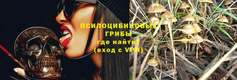 Псилоцибиновые грибы Magic Shrooms  где купить   Кушва 